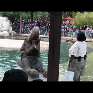 Meet your Posher, Rosa